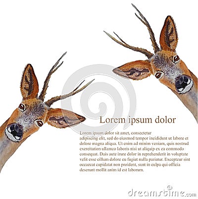 Deer Lorem Ipsum background. Watercolor forest cute animal object isolated for web, for print stock Vector Illustration